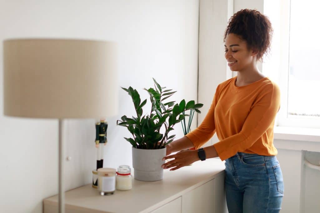 black woman putting vase with plant on cupboard
